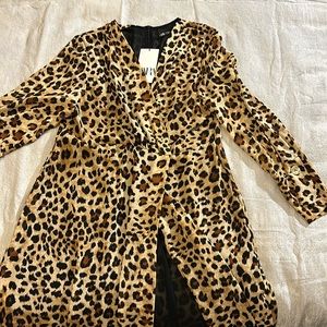 Zara Cheetah Print Dress